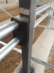 Dairy Barn Stall Installation